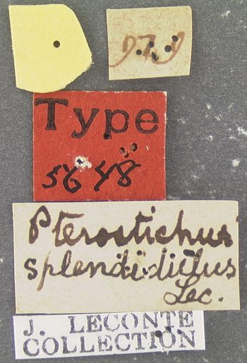 Media type: image; Entomology 5648   Aspect: labels